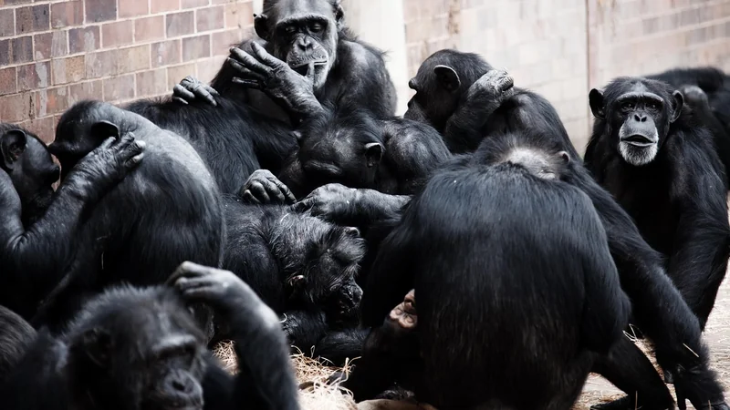 Socialisation : comment aider son enfant à se faire des amis
